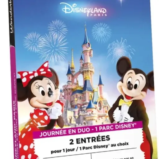 Test Wonderbox Digital Disneyland Paris 1 jour / 1 parc / 2 adultes : le bon plan cadeau quand on vise Disney sans se prendre la tête
